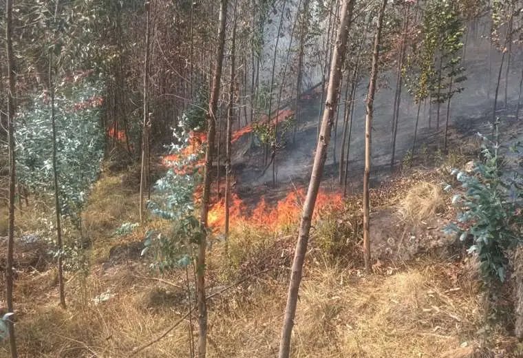 Incendio forestal en Quime