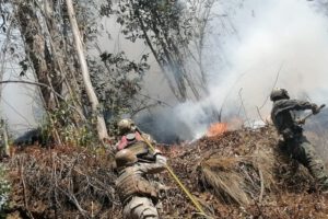 Incendios en Bolivia controlados en Quime y Yanacachi