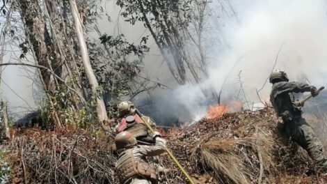 Incendios en Bolivia controlados en Quime y Yanacachi