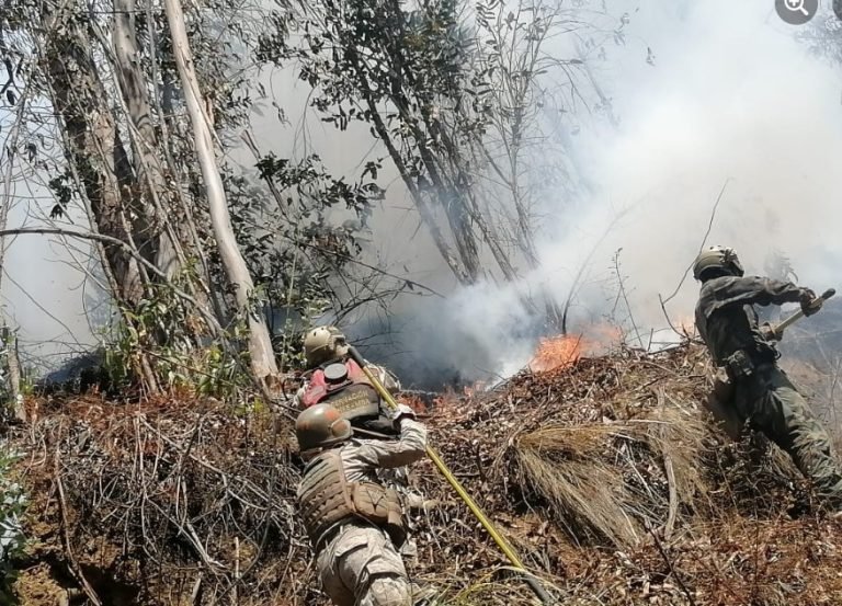 Incendios en Bolivia controlados en Quime y Yanacachi