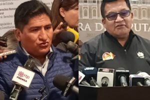 Revisión de estatutos del MAS por el Tribunal Constitucional