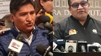 Revisión de estatutos del MAS por el Tribunal Constitucional