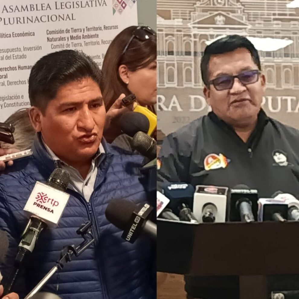 Revisión de estatutos del MAS por el Tribunal Constitucional