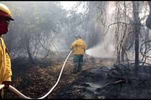 Incendio en el parque Kaa-Iya afectando miles de hectáreas