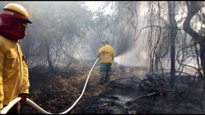 Incendio en el parque Kaa-Iya afectando miles de hectáreas