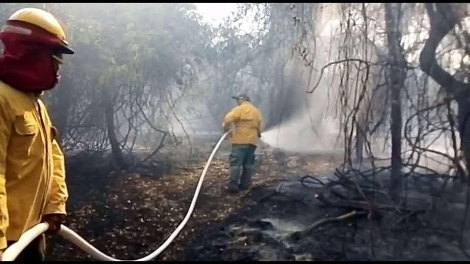 Incendio en el parque Kaa-Iya afectando miles de hectáreas
