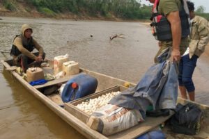 Tráfico ilegal de huevos de tortuga en Bolivia