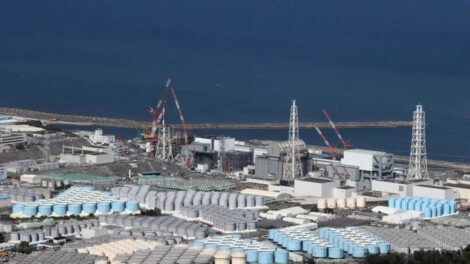 Tritio en peces Fukushima