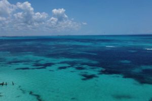 Cambio climático y su impacto en los ecosistemas marinos