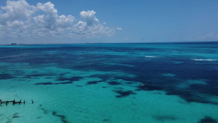 Cambio climático y su impacto en los ecosistemas marinos