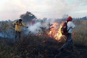 Focos de calor en Bolivia y su impacto en el bosque