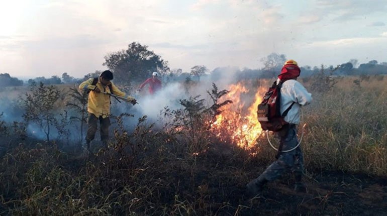 Focos de calor en Bolivia y su impacto en el bosque