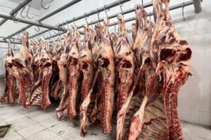 Exportaciones de carne y leche a Chile desde Bolivia