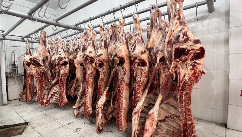 Exportaciones de carne y leche a Chile desde Bolivia