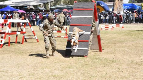 Tenencia responsable de mascotas en la campaña del Ejército de Bolivia