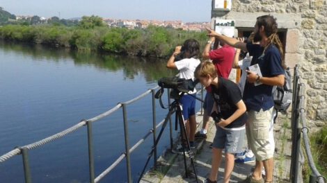 Educación al aire libre en preescolares mejora rendimiento académico y bienestar emocional