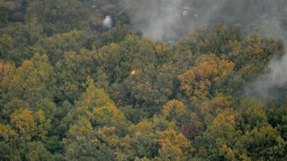Incendios forestales en Europa: Grecia reportó 159.820 hectáreas quemadas