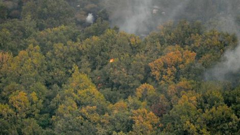 Incendios forestales en Europa: Grecia reportó 159.820 hectáreas quemadas
