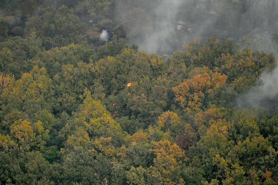 Incendios forestales en Europa: Grecia reportó 159.820 hectáreas quemadas