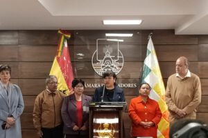 Aumento de regalías del litio propuesto por la senadora Daly Santa María