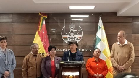 Aumento de regalías del litio propuesto por la senadora Daly Santa María