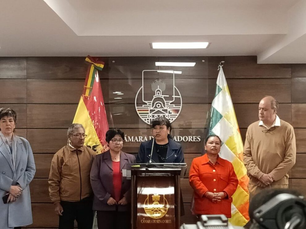 Aumento de regalías del litio propuesto por la senadora Daly Santa María