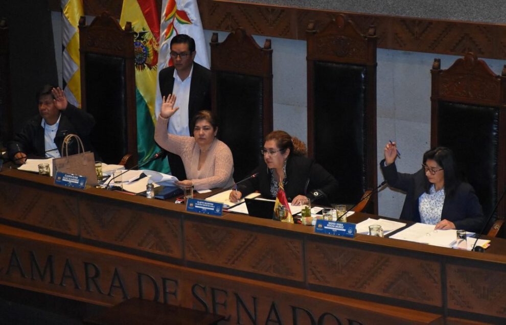 Proyecto de ley para elecciones judiciales aprobado en el Senado