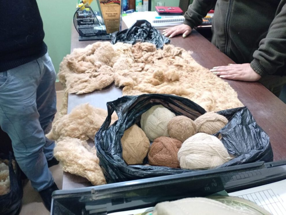 Fibra de vicuña ilegal en feria San Luis de El Alto