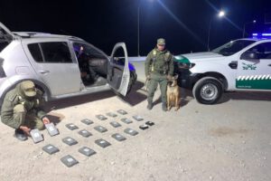 Cocaína decomisada en control policial
