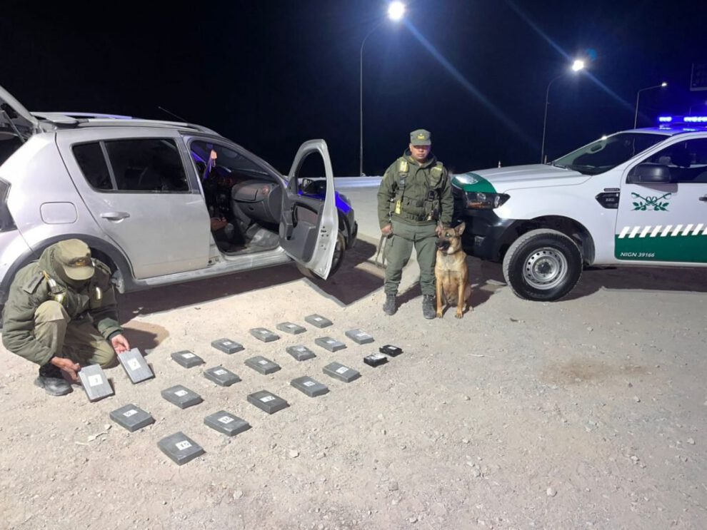 Cocaína decomisada en control policial