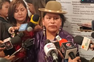 Senadora Virginia Velasco denuncia intento de desestabilización