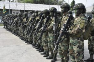 Lucha antinarcóticos entre Bolivia y Brasil