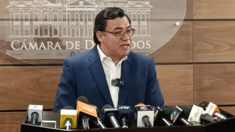 Interpelaciones a ministros según Jerges Mercado