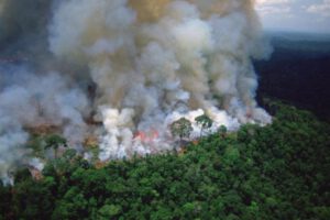Incendios en la selva amazónica brasileña