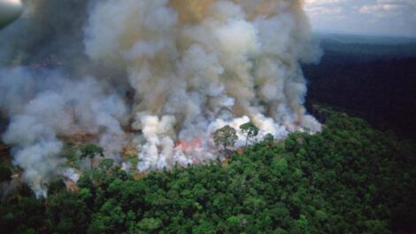Incendios en la selva amazónica brasileña