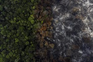 Fotografía aérea muestra la destrucción causada por incendios en la selva amazónica