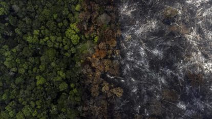 Fotografía aérea muestra la destrucción causada por incendios en la selva amazónica
