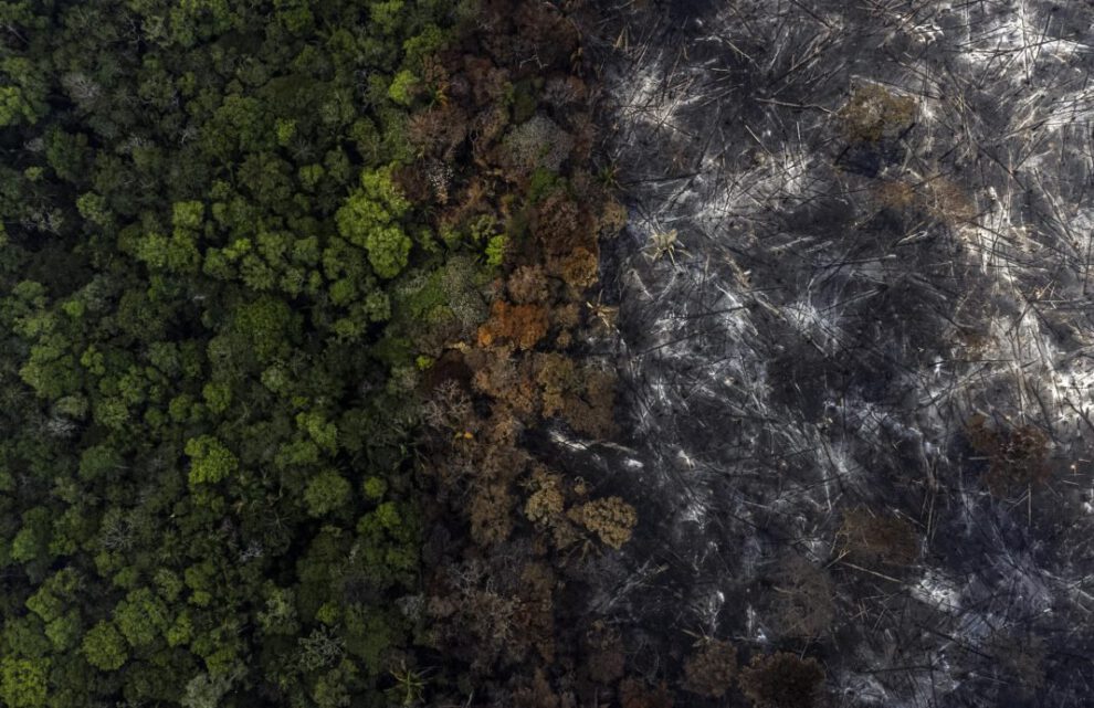 Fotografía aérea muestra la destrucción causada por incendios en la selva amazónica
