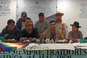 Elecciones judiciales: Legisladores radicales del MAS anuncian acción de cumplimiento