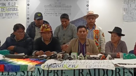 Elecciones judiciales: Legisladores radicales del MAS anuncian acción de cumplimiento