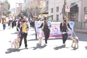 Campaña de Vacunación Antirrábica Canina y Felina 2023 en Oruro