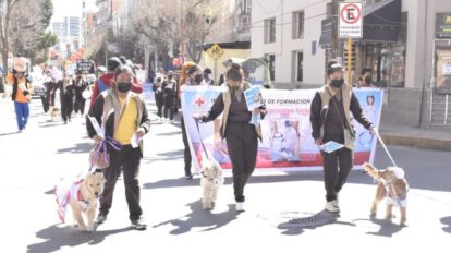 Campaña de Vacunación Antirrábica Canina y Felina 2023 en Oruro