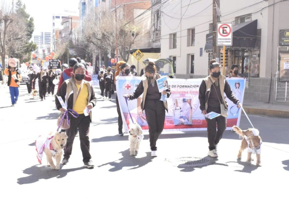 Campaña de Vacunación Antirrábica Canina y Felina 2023 en Oruro