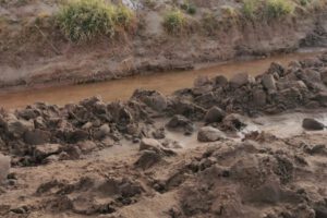 Esperan que aprobación de ley apoye a Oruro en contrarrestar la sequía