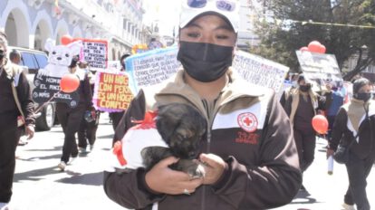 Instituciones se suman a la lucha contra la rabia canina