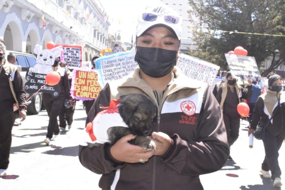 Instituciones se suman a la lucha contra la rabia canina