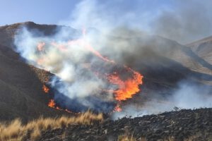 Incendio forestal Huayllamarca