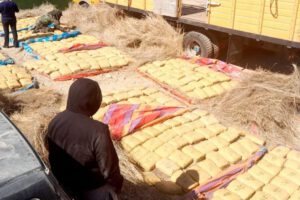 Incautación de marihuana en Tarija