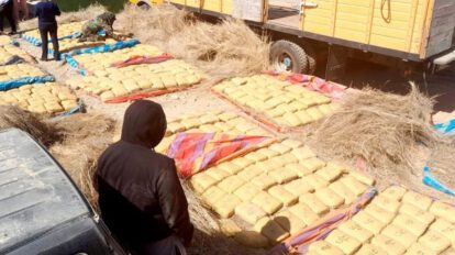 Incautación de marihuana en Tarija