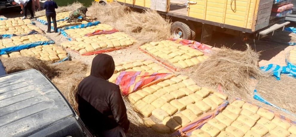 Incautación de marihuana en Tarija